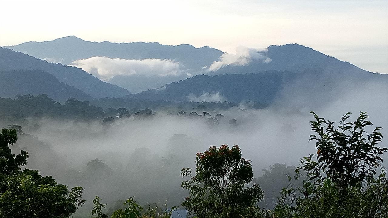Mulu Village Pokoj fotografie