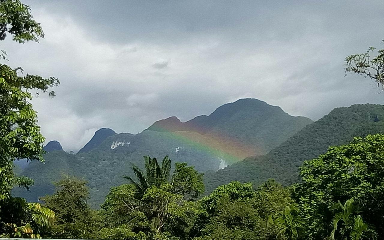 Mulu Village Pokoj fotografie